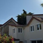 WhatsApp Image 2025-07-29 at 15.06.05 (1)